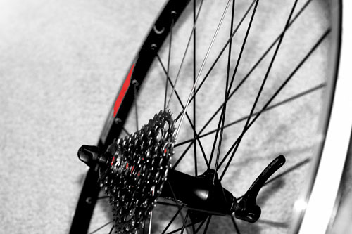 New Rear Wheel