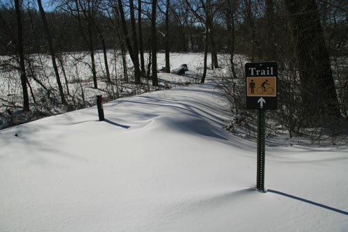 Snowy Trail