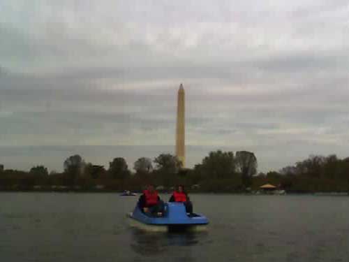 Paddle Boats