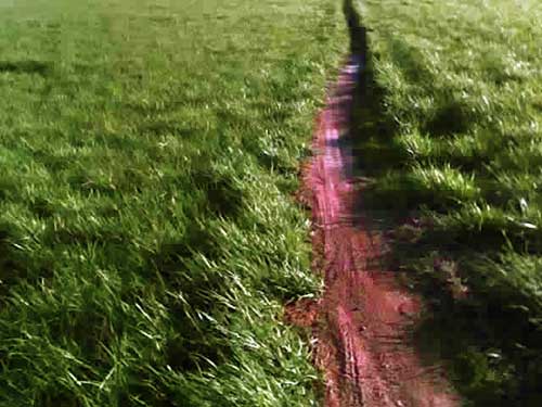 Schaeffer Farms
