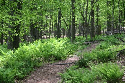 Gambrill State Park
