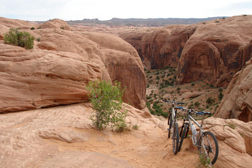 Bikes in Moab