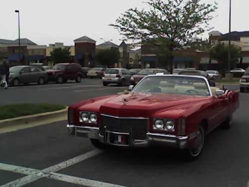 Caddy in Rockville
