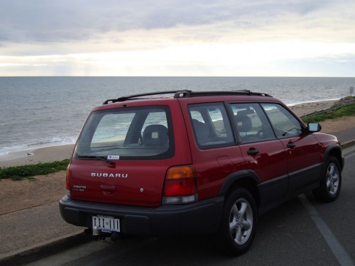 Forester Back Forester Back