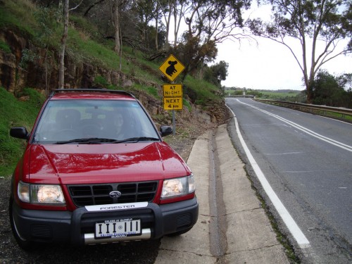 1999 Forester Limited 1999 Forester Limited