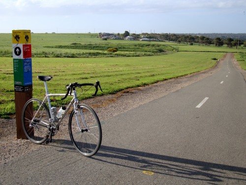 Gunnar on the Coast To Vines