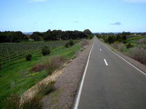 Coast To Vines Near McLaren Vale