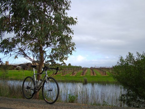 Gunnar in McLaren Vale