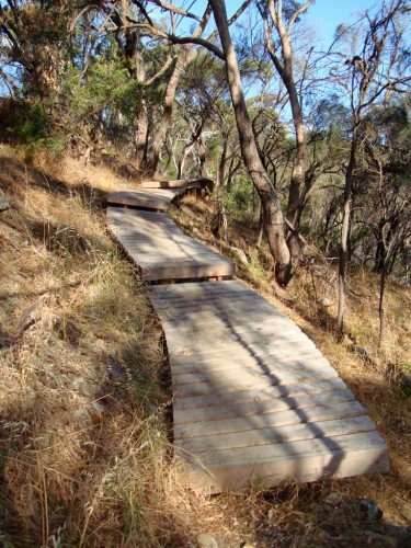 LyntonBoards1