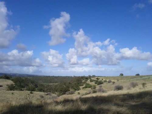 A perfect day at Craigburn Farm