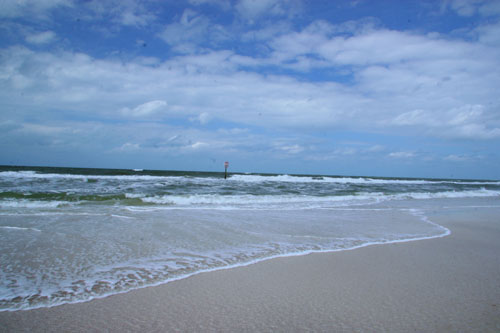 Salt Water + Phone
