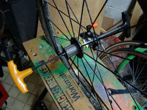 Mavic Freehub Service