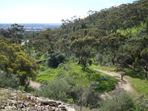 Mitcham Access Track
