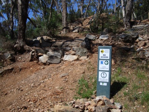 Mitcham DH Track
