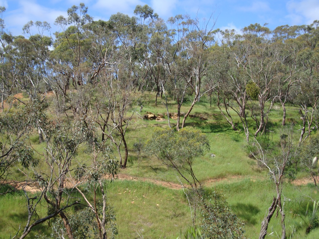 Mitcham Hills MTB Trails