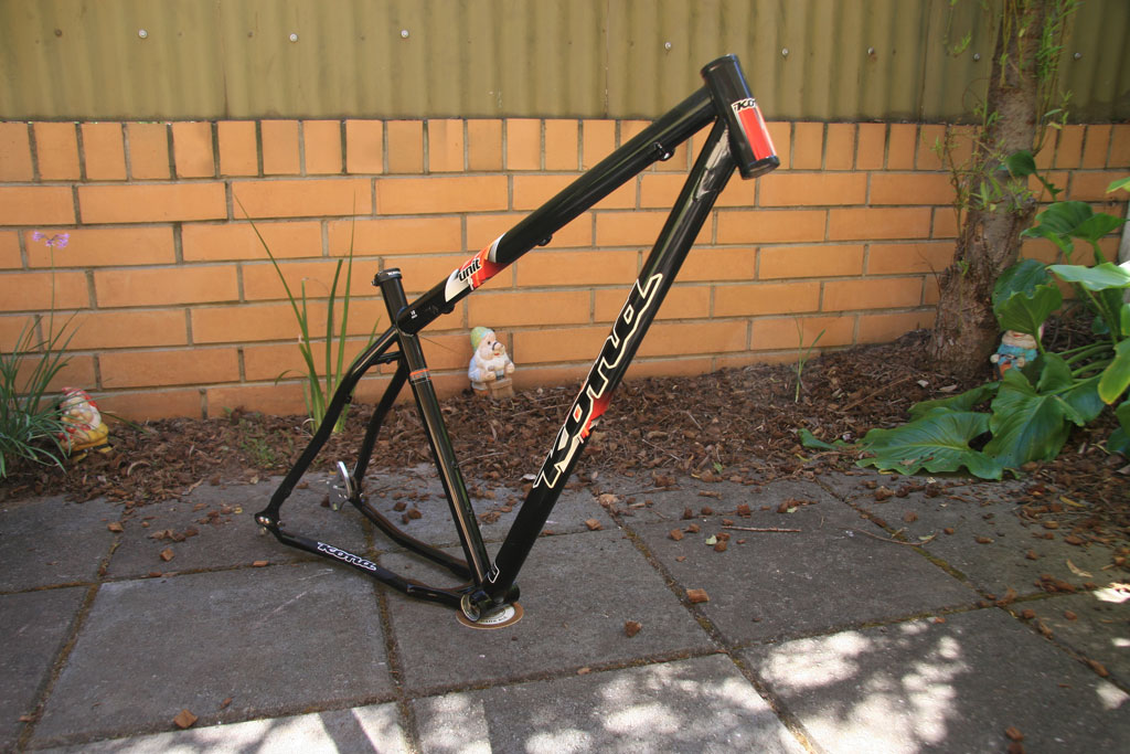 29er Build: The Frame