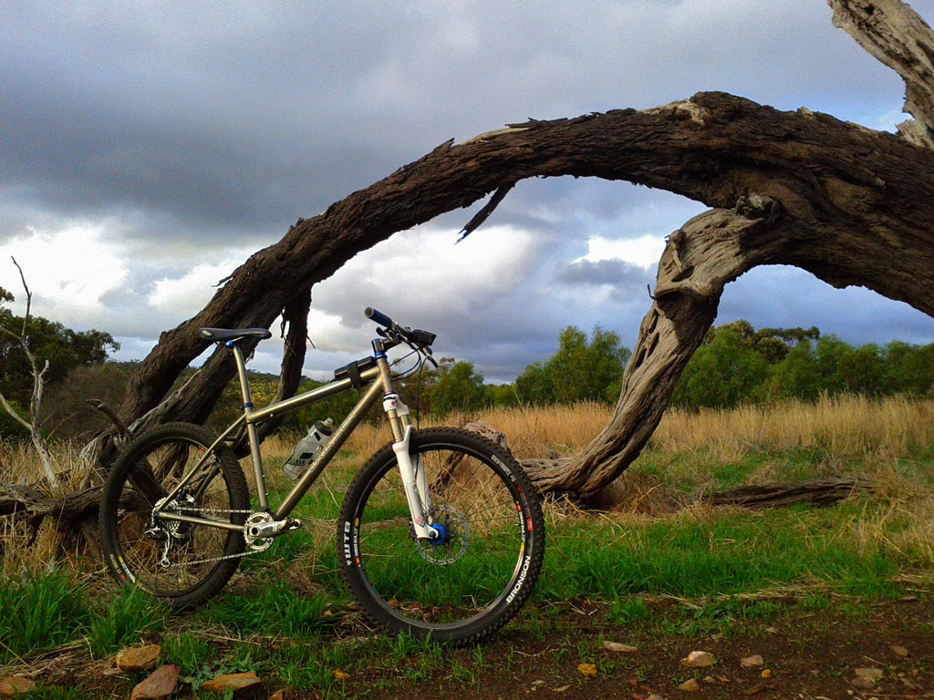 Bronson 2.3 TCS