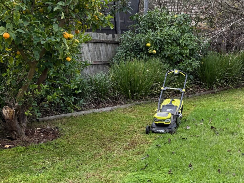 A lawn mower in it's natural environment