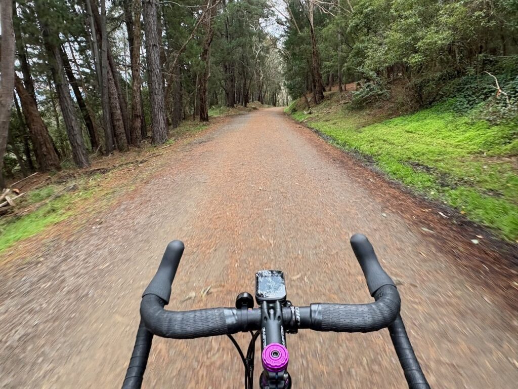 Riding the Warburton Rail Trail